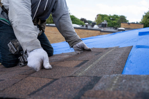 Best Commercial Roof Installation  in Laurel, MT